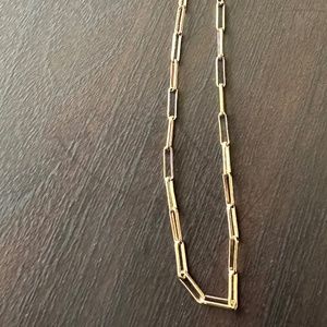 Express Fake Gold Chain-Link Necklace (Like New)